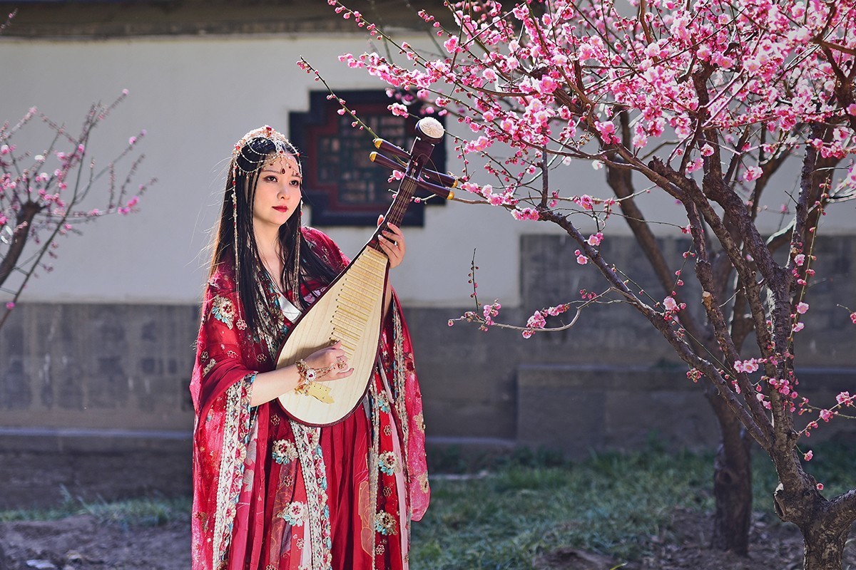 佳人梅花演绎的春日