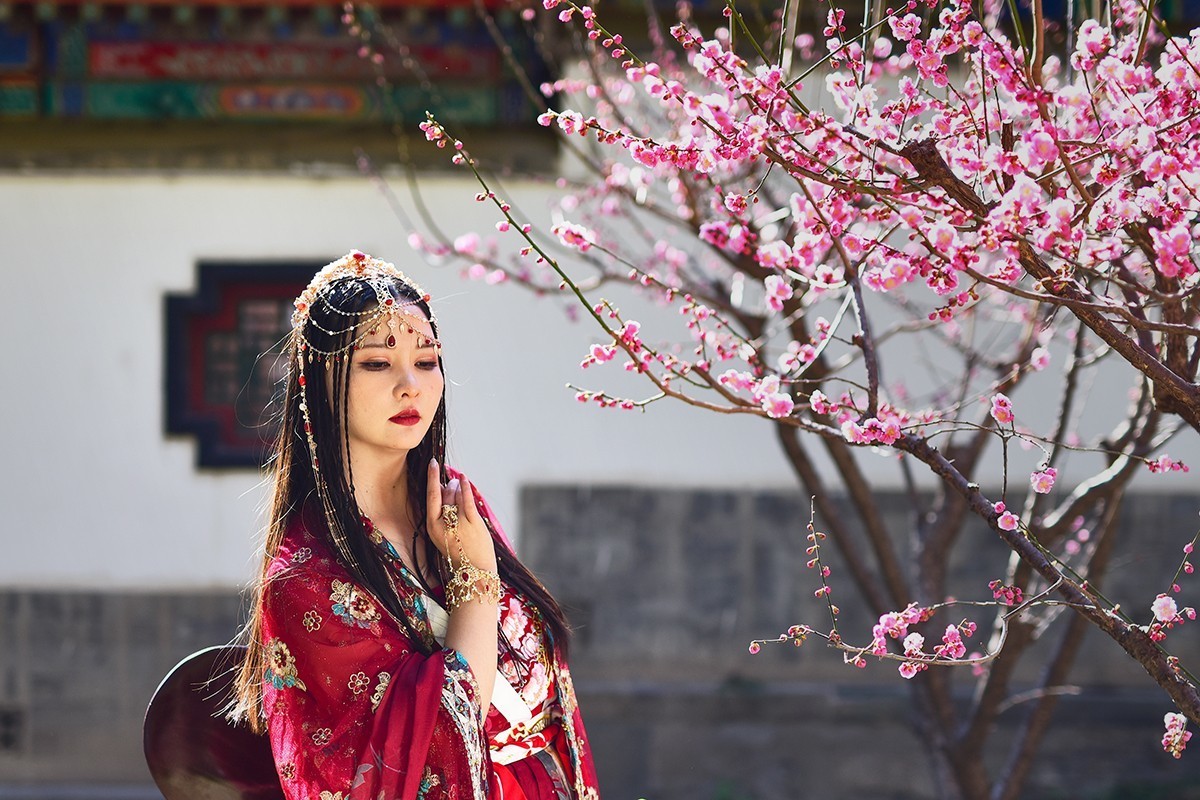 佳人梅花演绎的春日