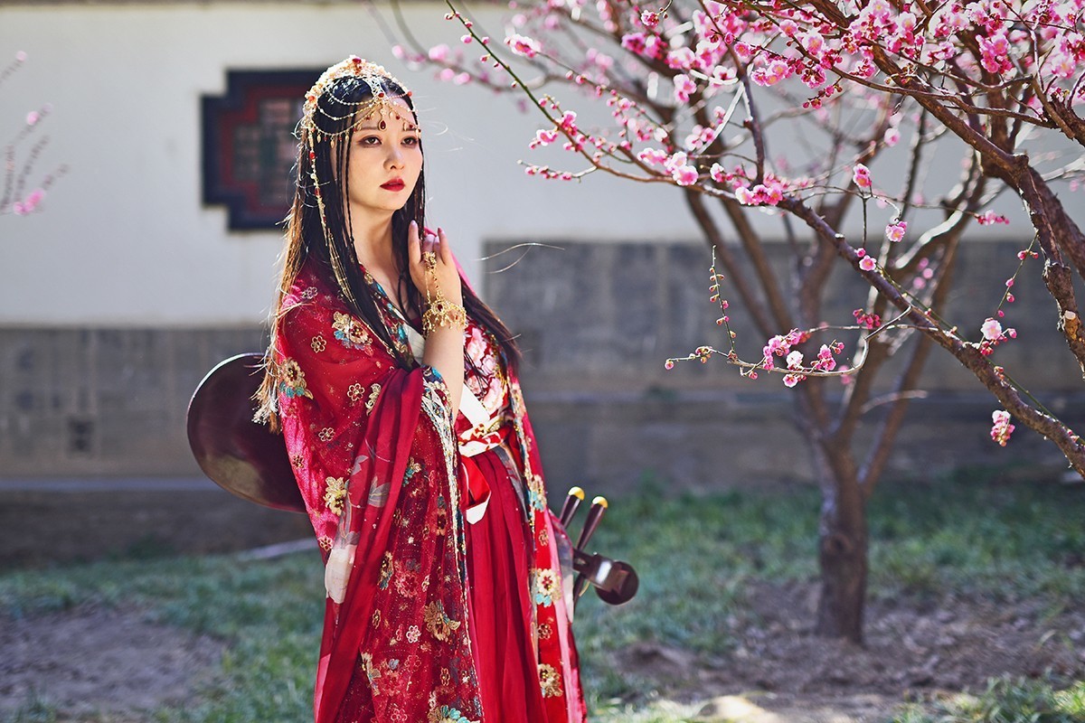 佳人梅花演绎的春日