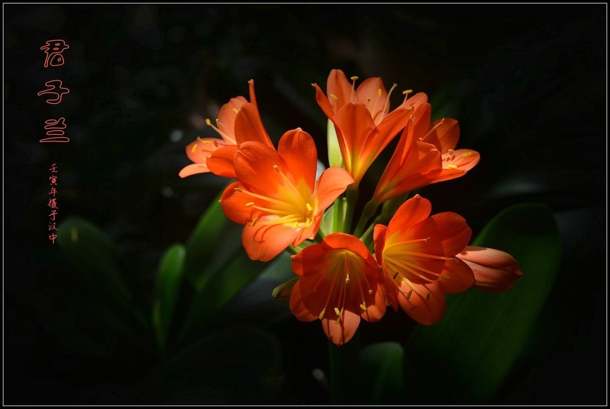 #版主坐堂#小五星空(中国)2022年8月精品荟萃