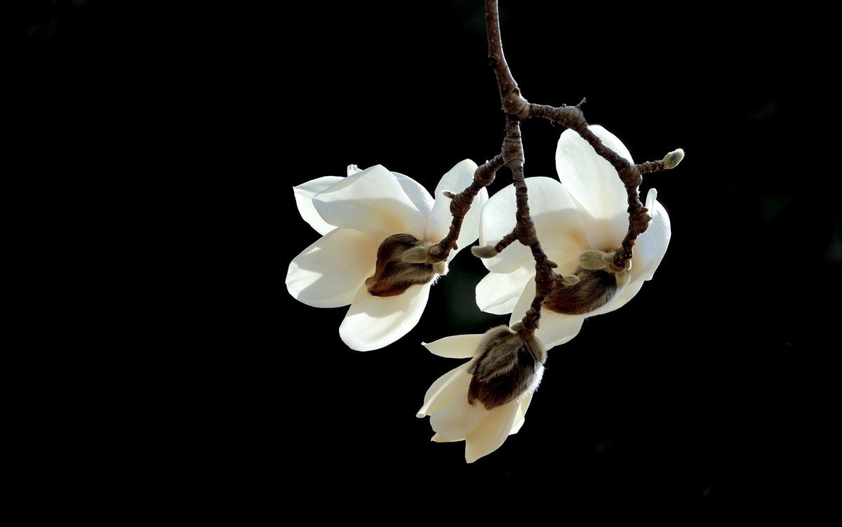 #版主坐堂#小五星空(中国)2022年8月精品荟萃