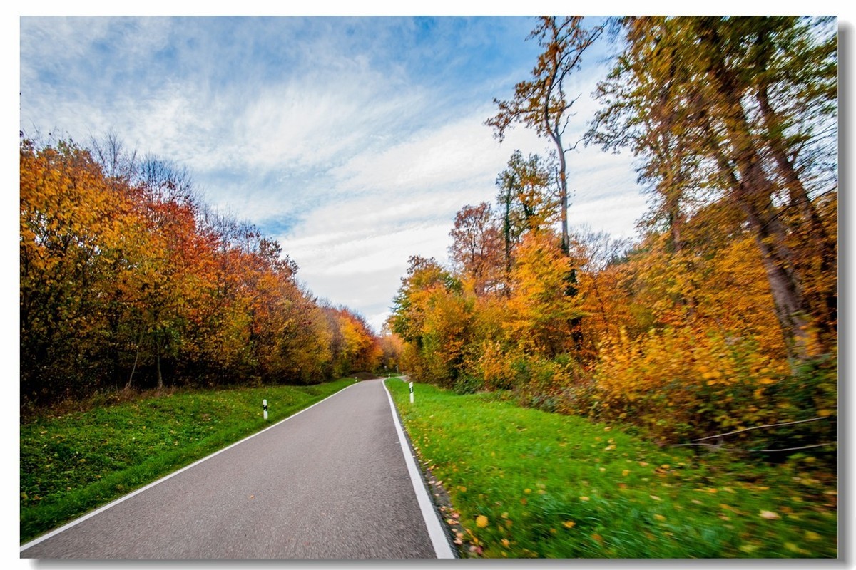 骑行追风（单手盲拍）