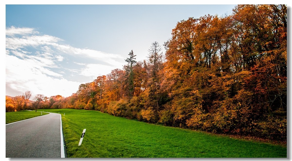骑行追风（单手盲拍）
