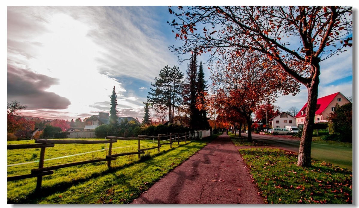 骑行追风（单手盲拍）