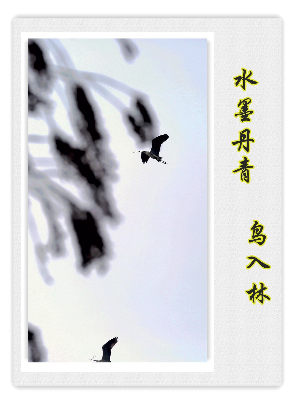 畅想..遐思