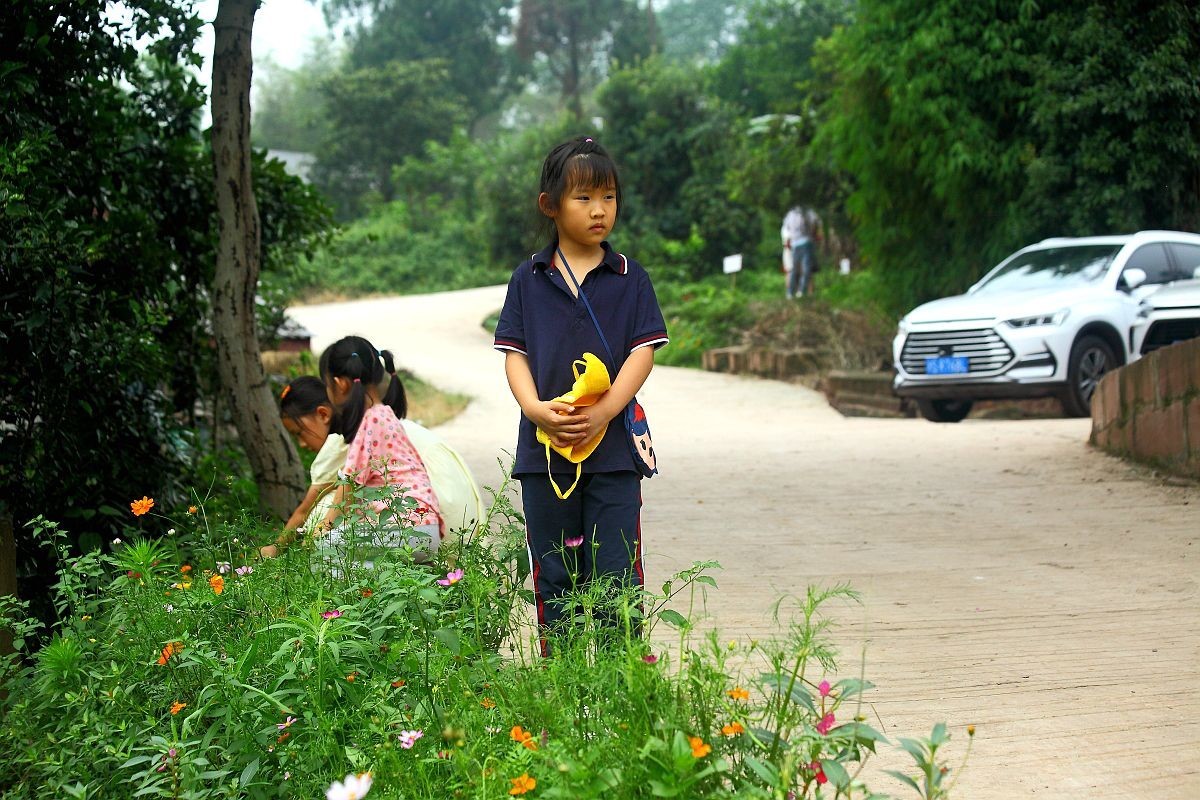去果园摘杨梅（五）