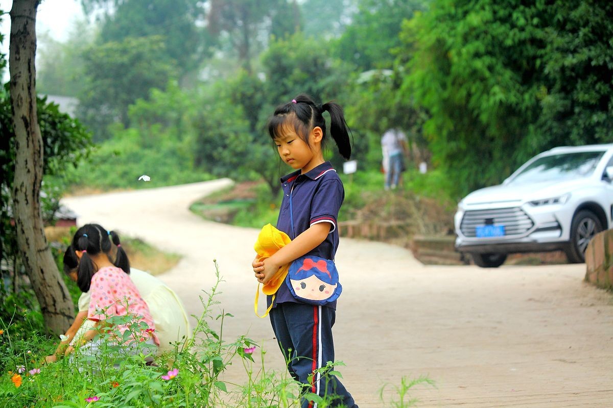 去果园摘杨梅（五）