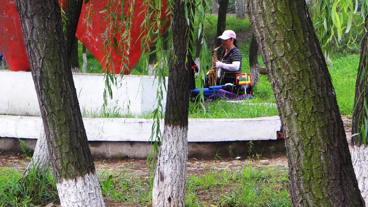 20230724为荷而来