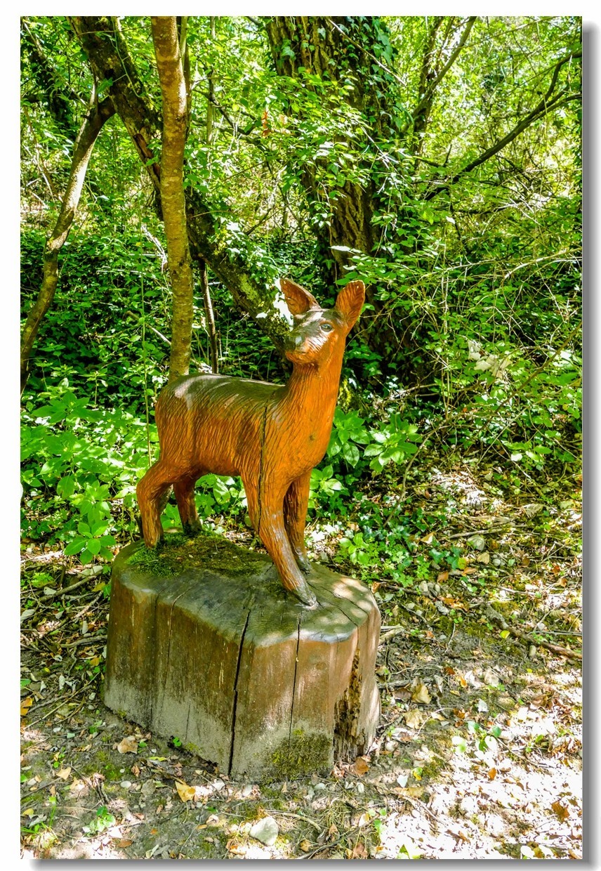 莱茵河床森林“博物馆”（德-法）