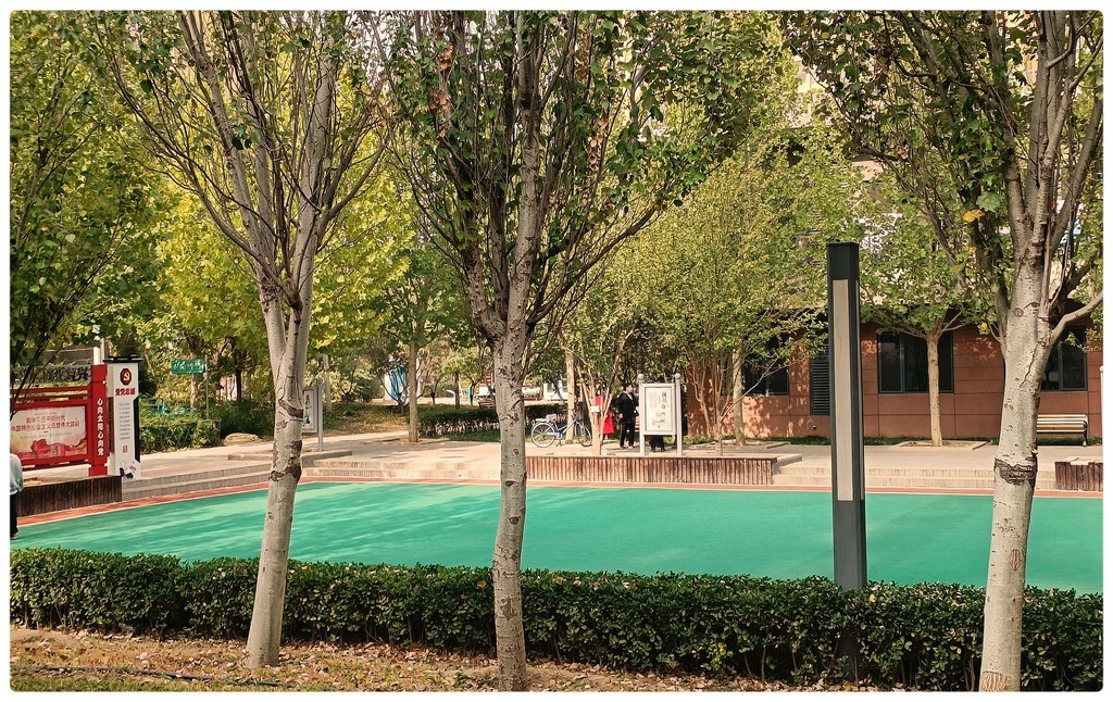 小  区  秋  色  随  拍    （手机）