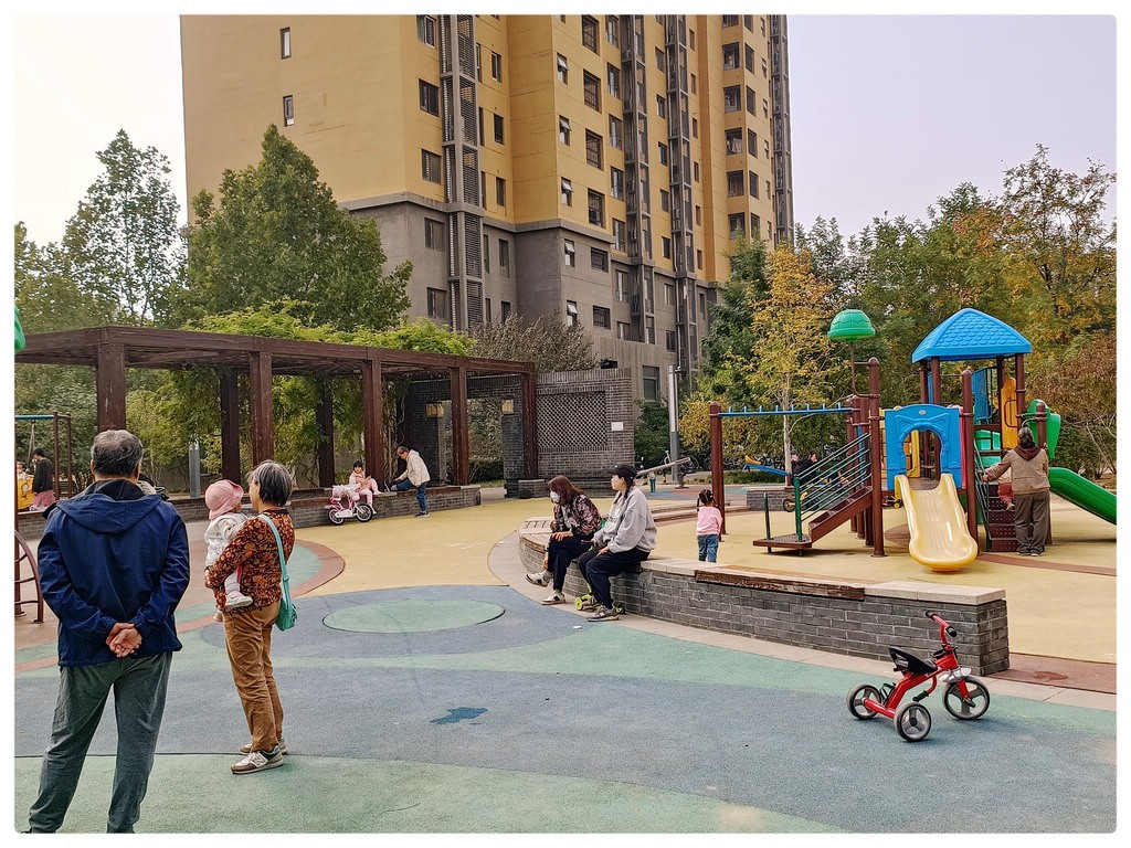 小  区  秋  色  随  拍    （手机）