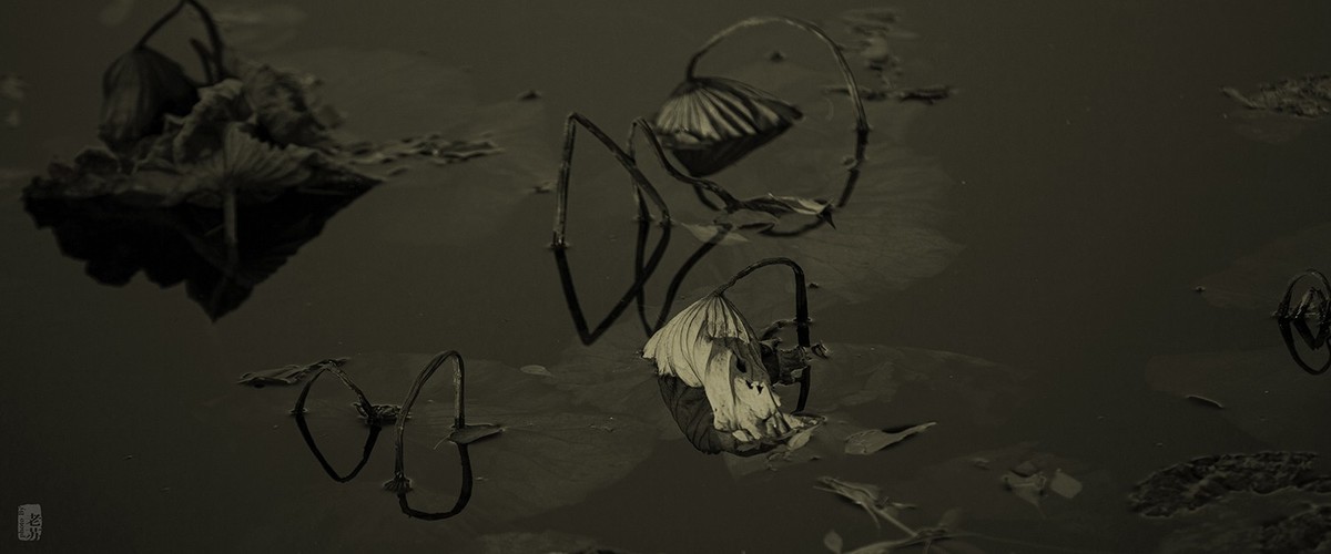 2023-11-12 残 奇怪尝试