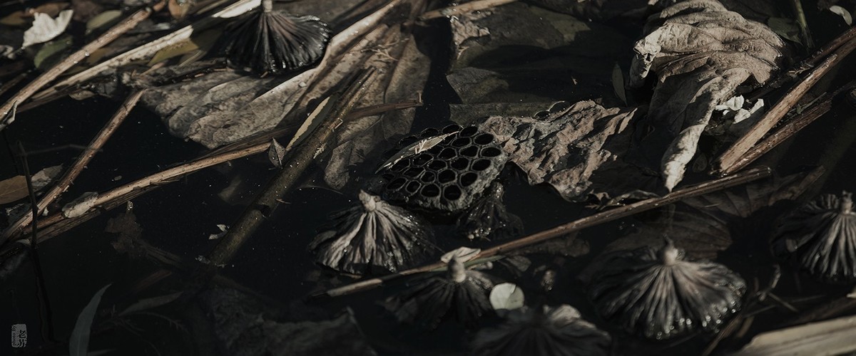 2023-11-12 残 奇怪尝试