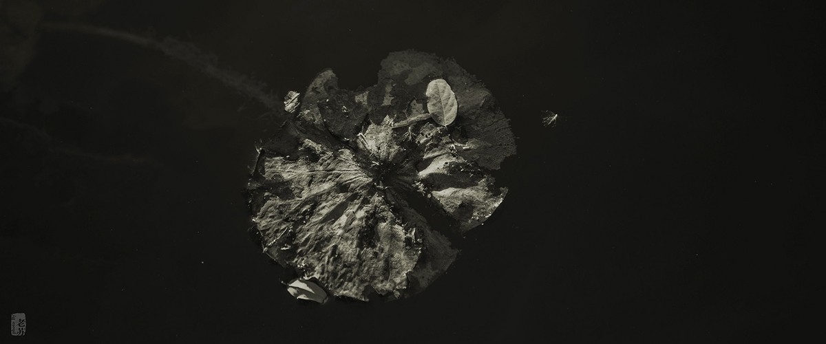 2023-11-12 残 奇怪尝试