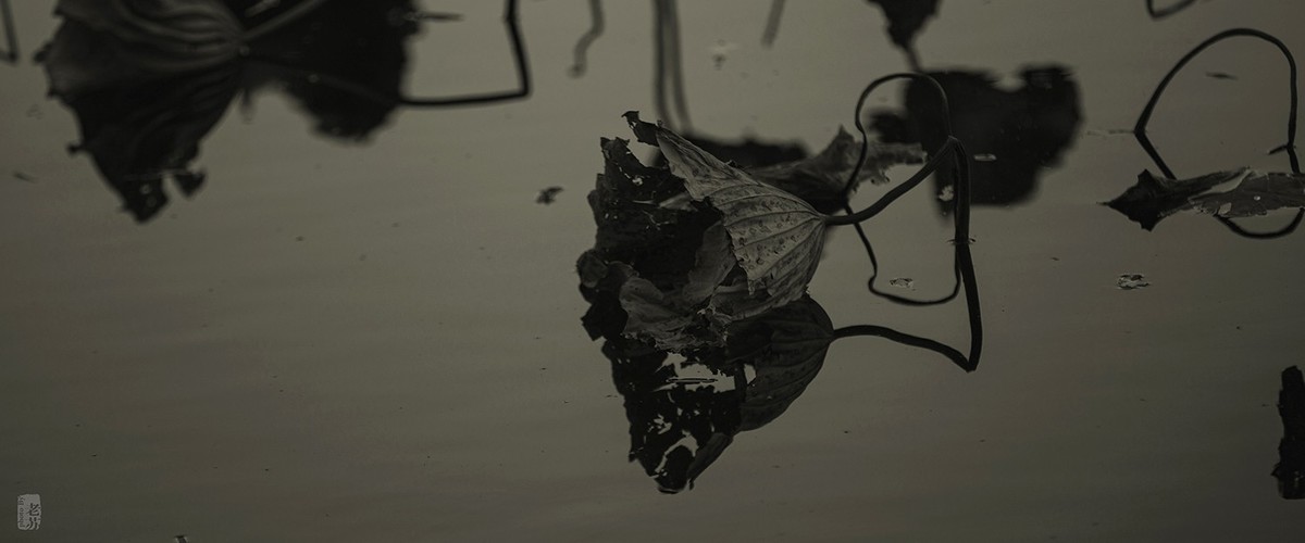 2023-11-12 残 奇怪尝试