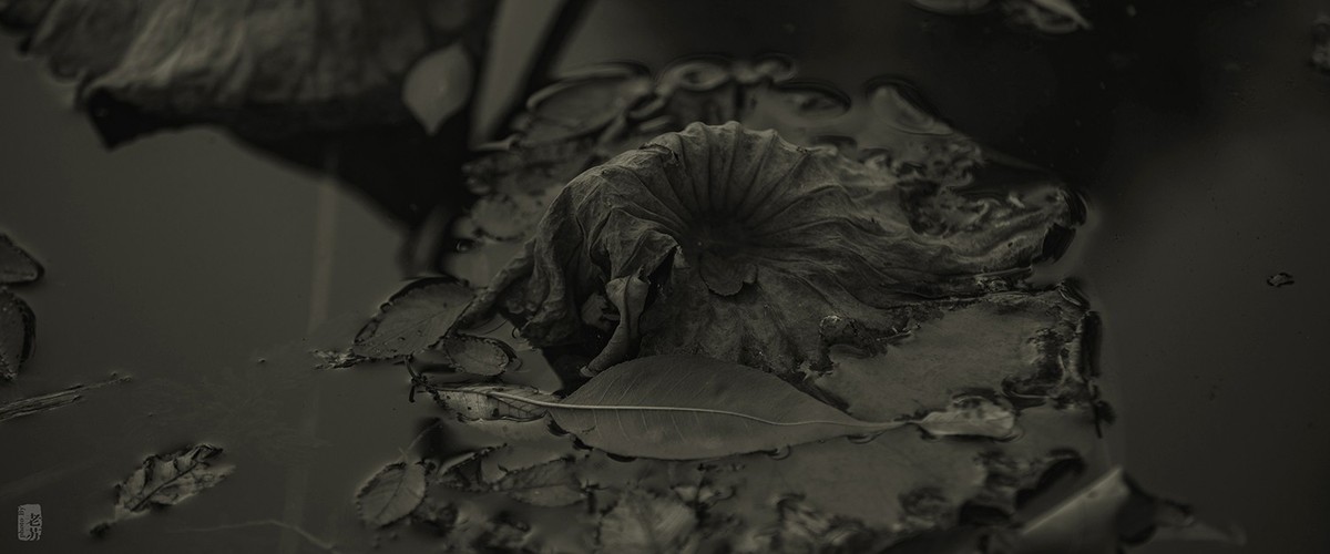 2023-11-12 残 奇怪尝试