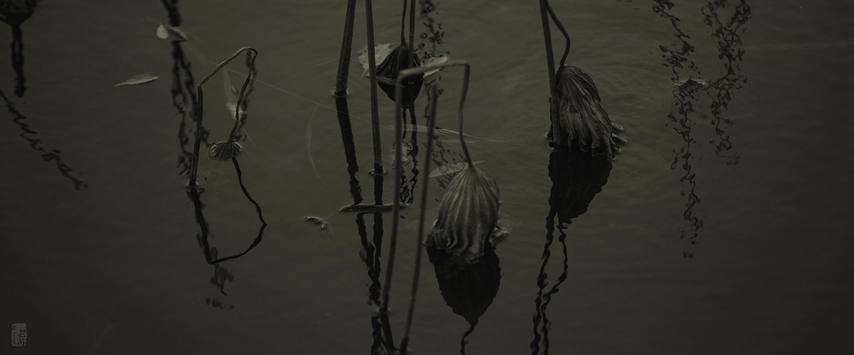 2023-11-12 残 奇怪尝试