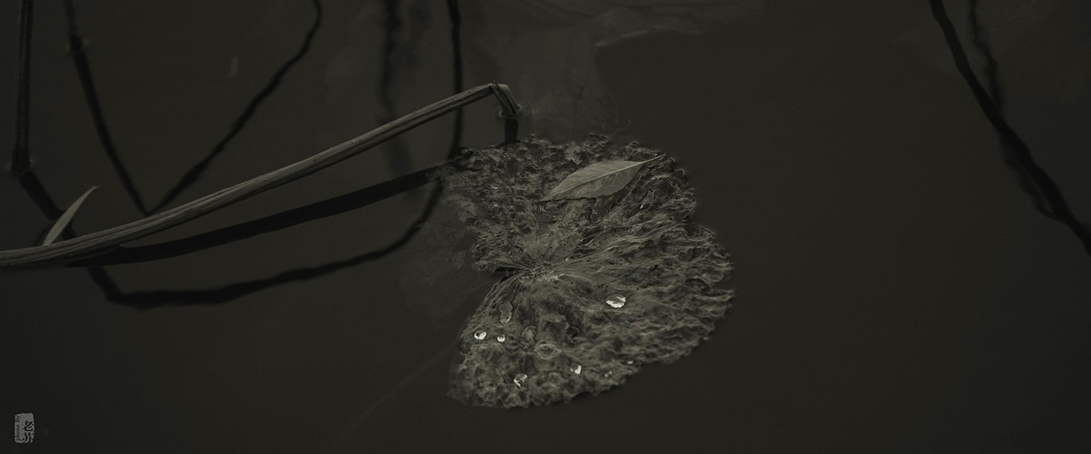 2023-11-12 残 奇怪尝试