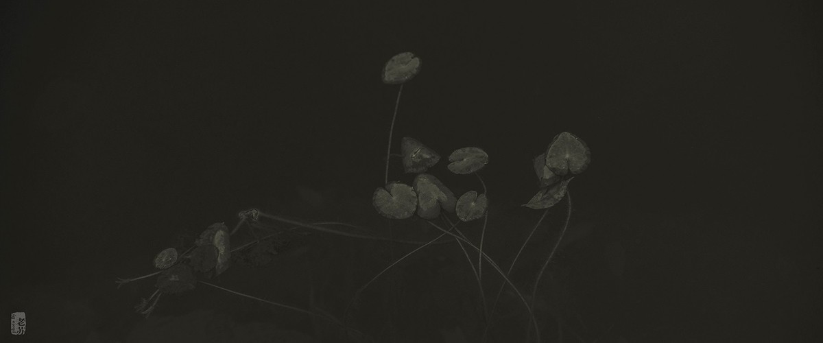 2023-11-12 残 奇怪尝试