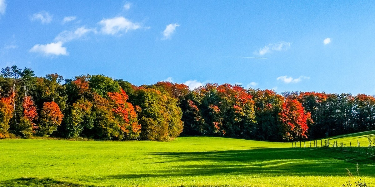 南德原野秋色-中关村在线摄影论坛