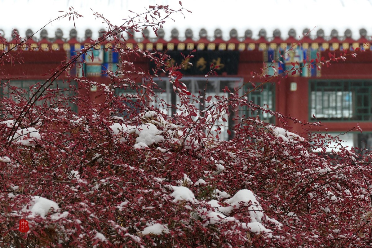 北京北海公园雪景