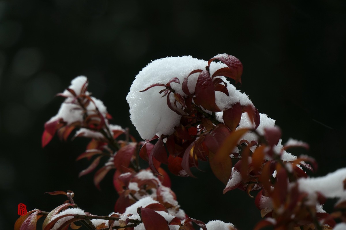 北京北海公园雪景