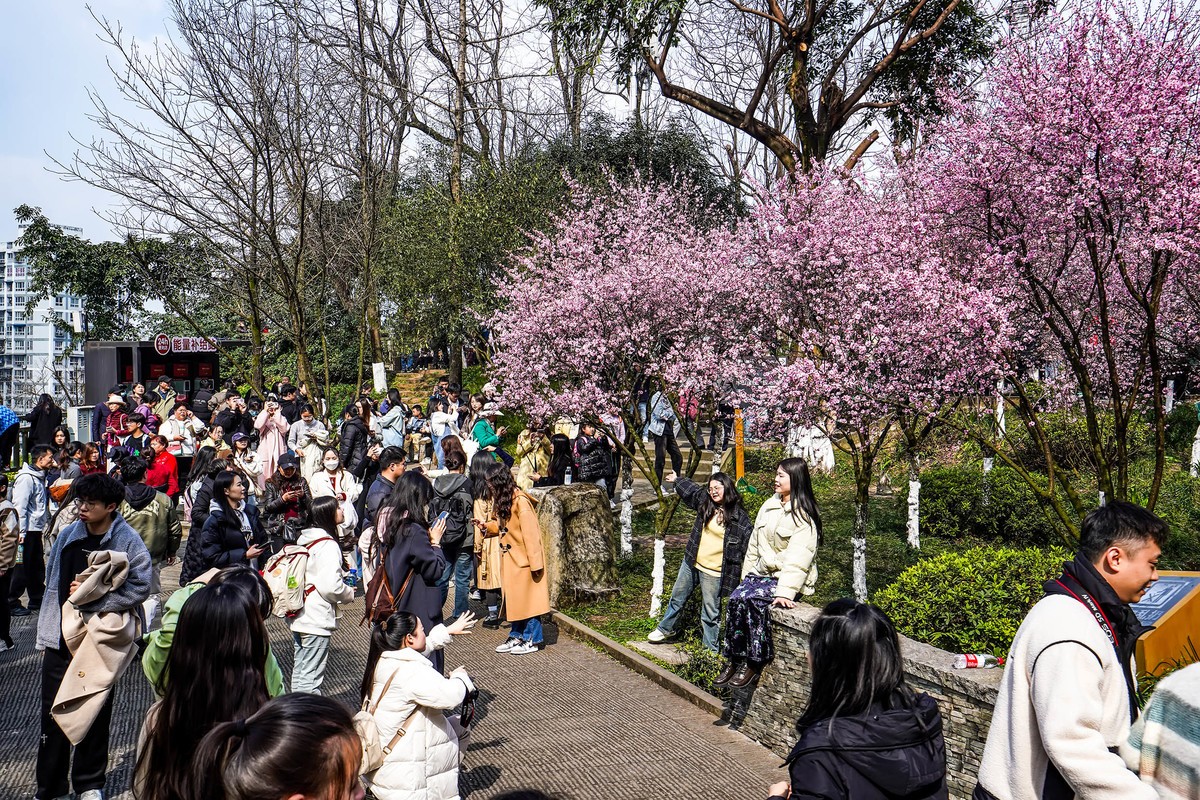 半山崖步道风景线
