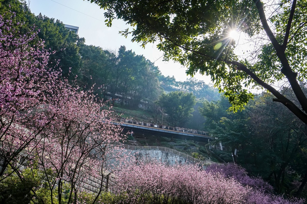 半山崖步道风景线
