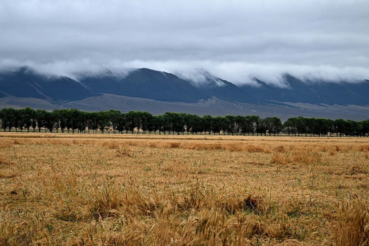 新疆游/巴里坤(20)