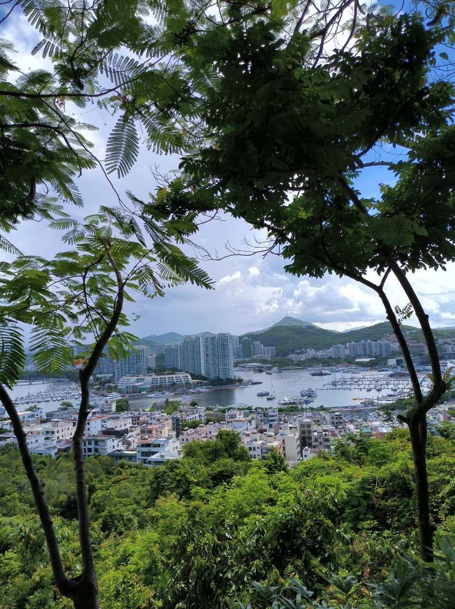 2024夏 海南环岛行（99）尝到了海南正宗的老爸茶