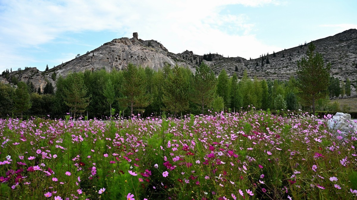 新疆游/富蕴县（34）