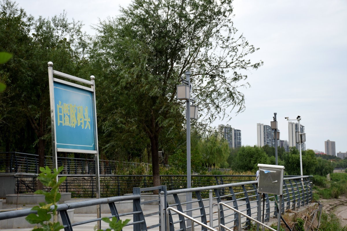 2024秋 江汉行（3）走进洪湖江滩公园