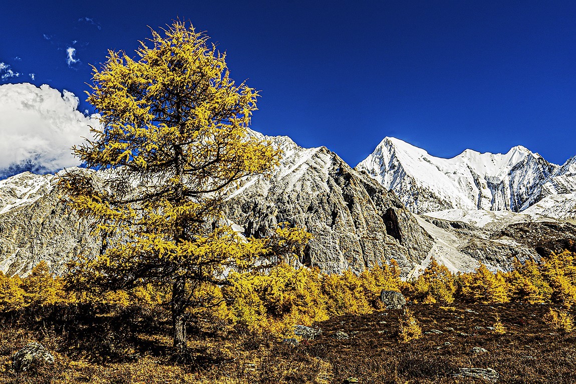 稻城亚丁--秋日行【12】