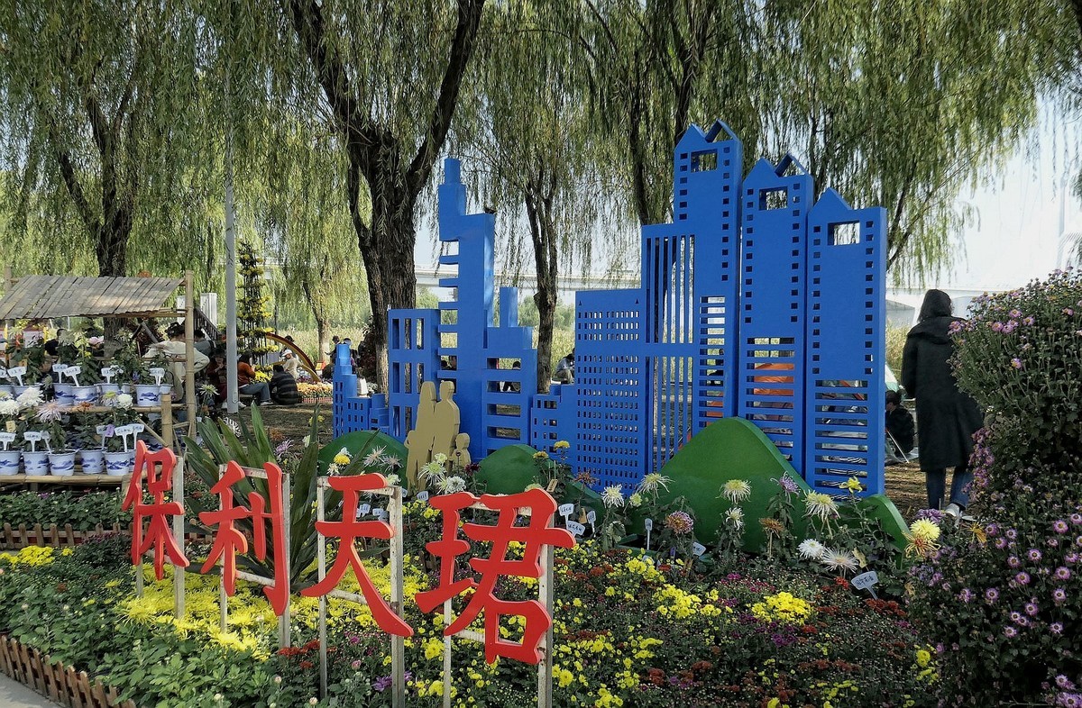 武汉江滩菊花展二