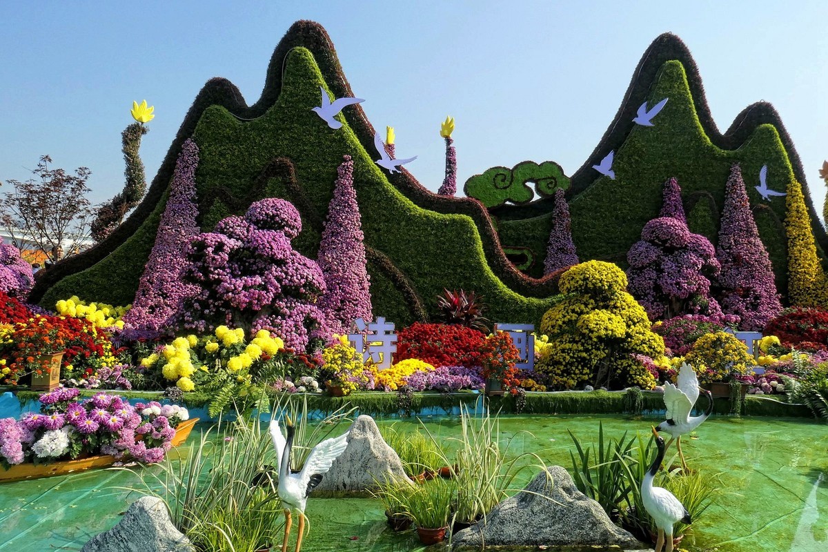 武汉江滩菊花展二