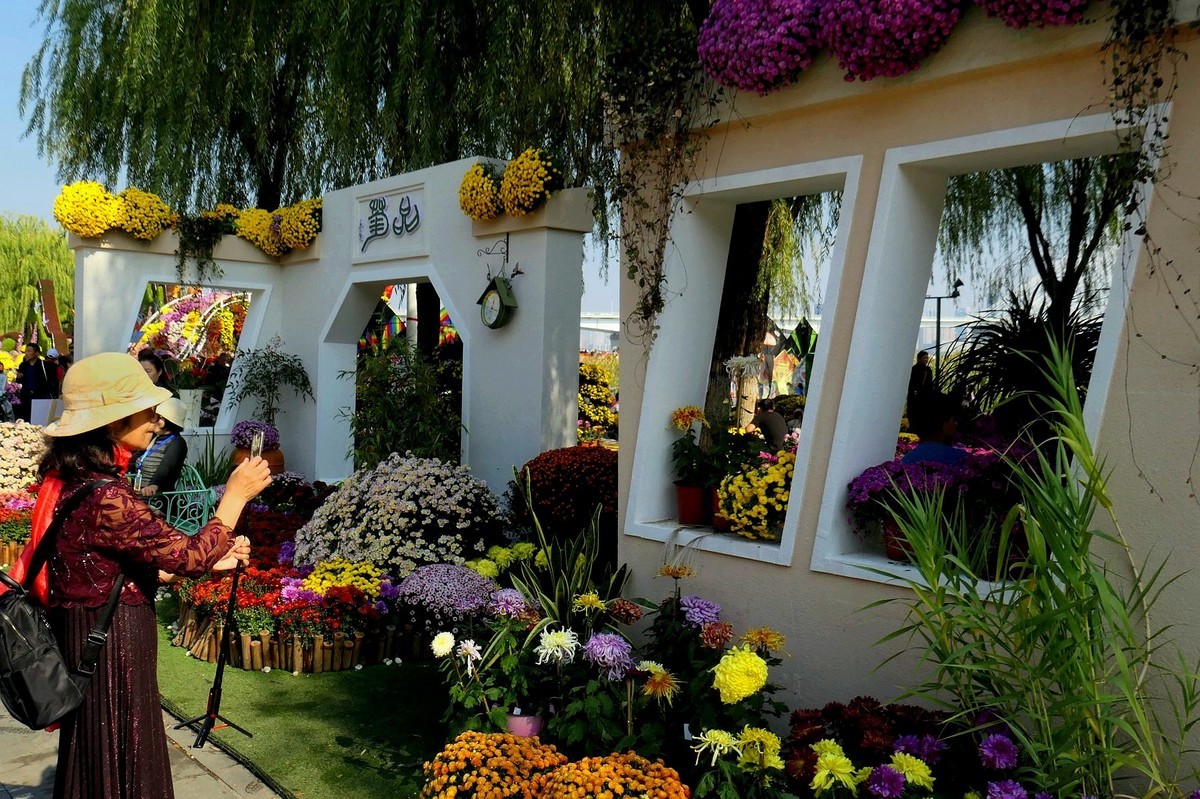 武汉江滩菊花展二