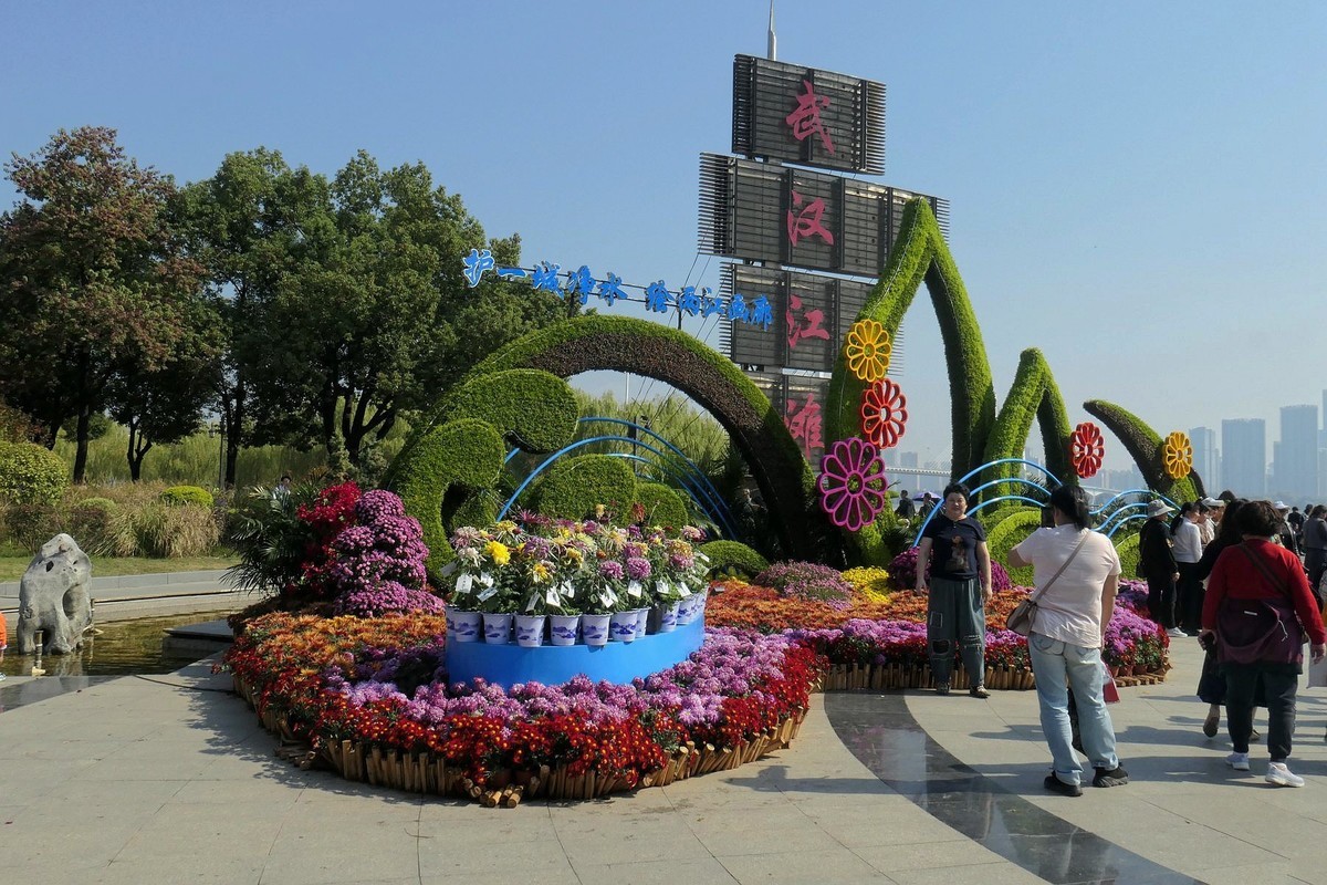 武汉江滩菊花展二