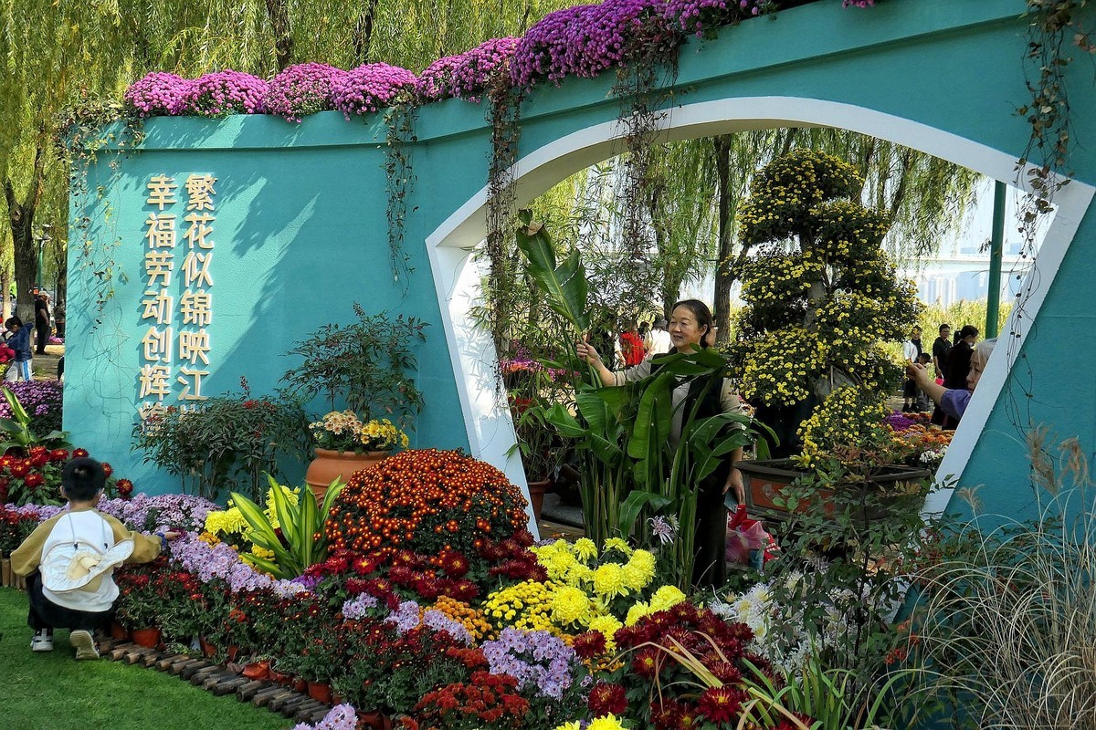 武汉江滩菊花展二