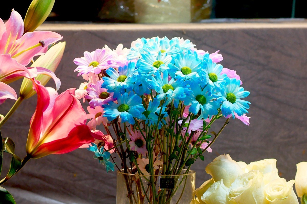 G100--一组鲜花 (下)