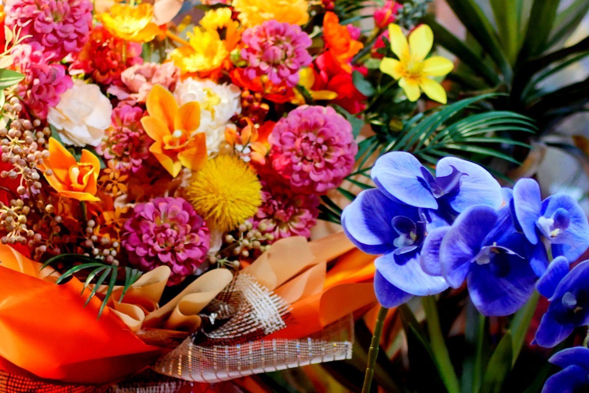 G100--一组鲜花 (下)