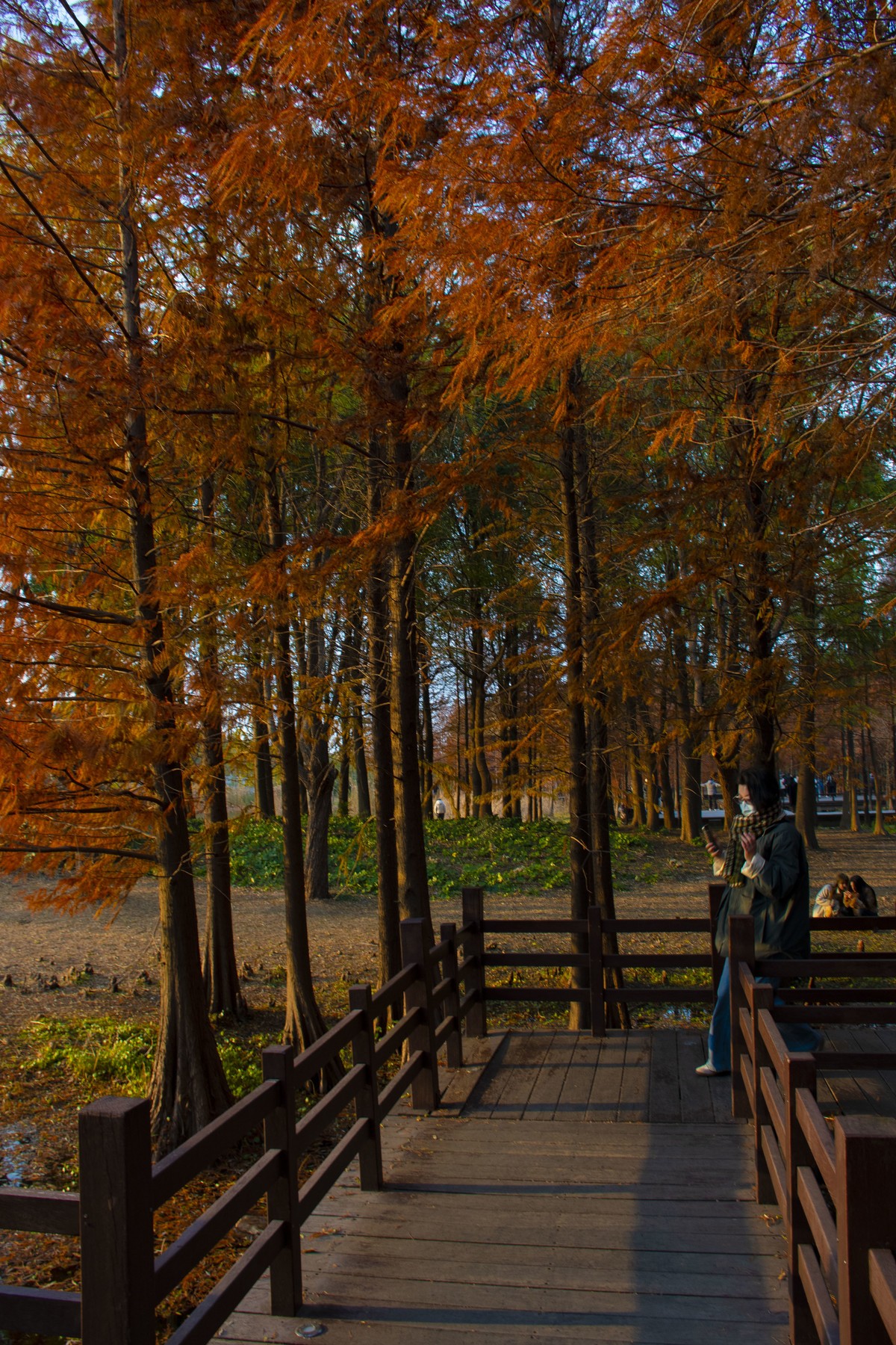 拍照狂魔之虎丘湿地三【10P】