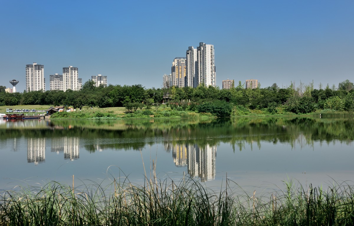 青龙湖生态湿地公园1