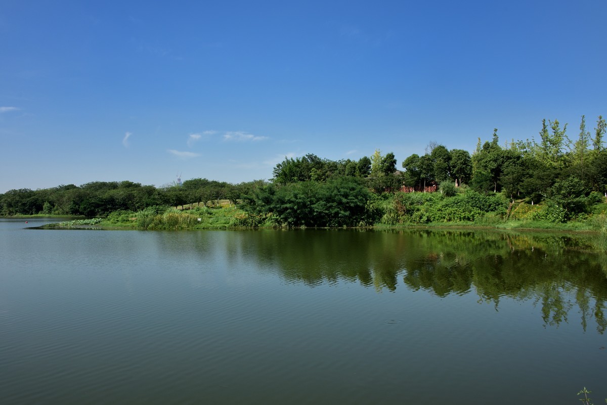 西充青龙湖湿地公园图片