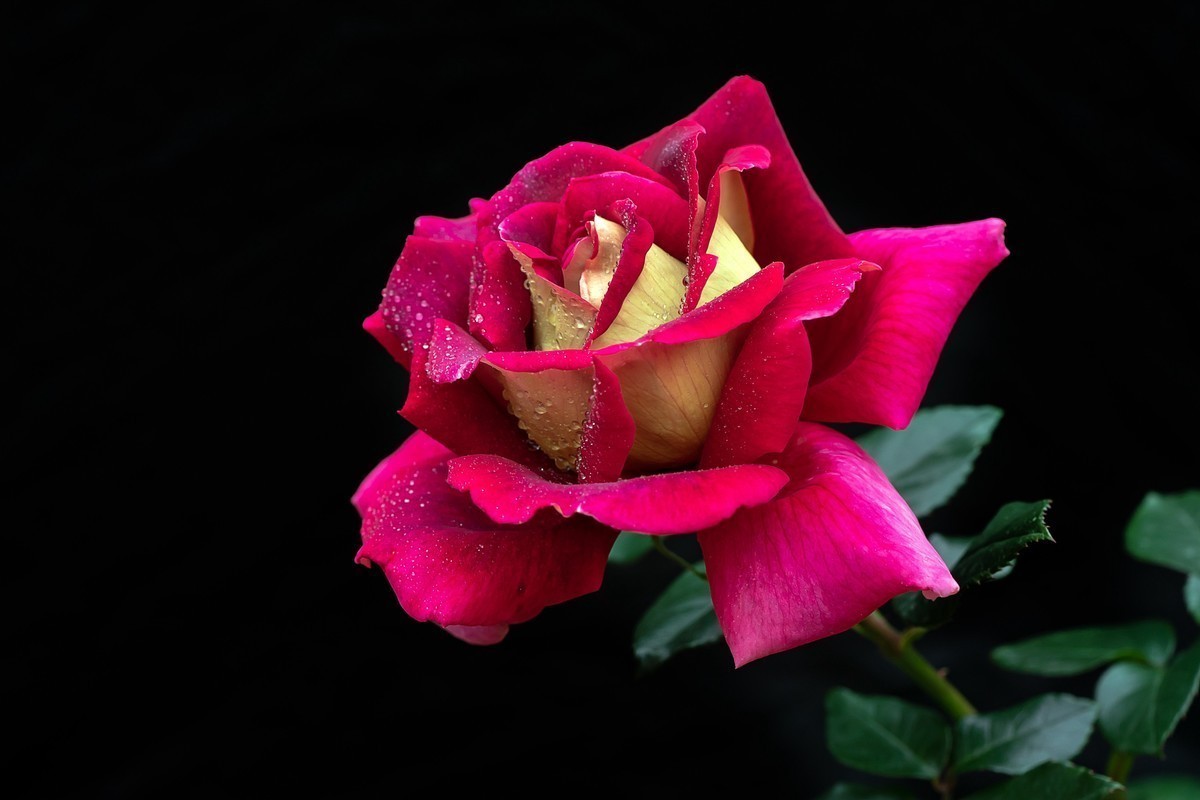 #版主坐堂#索尼大版星空(中国)2022年3月份优秀作品精选汇总