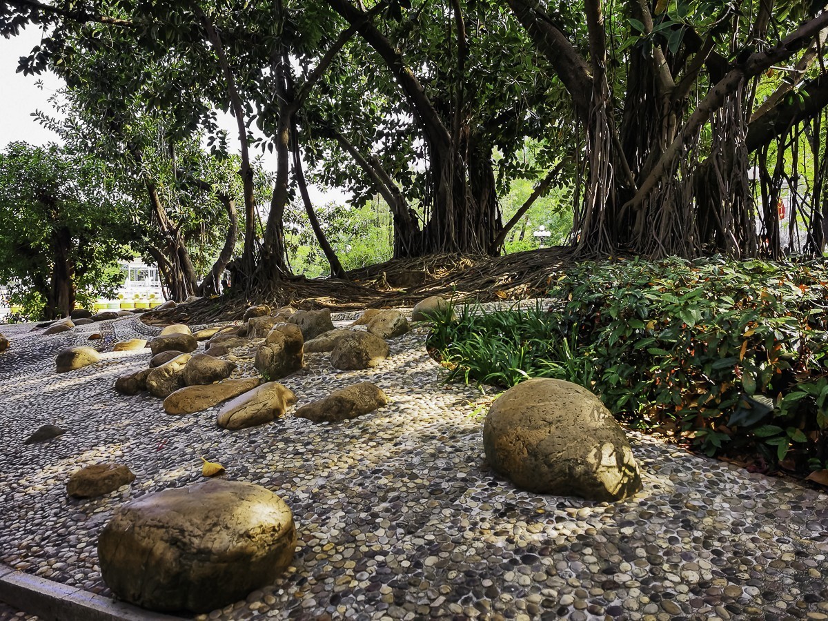 深圳荔枝公园 ~ 掠影