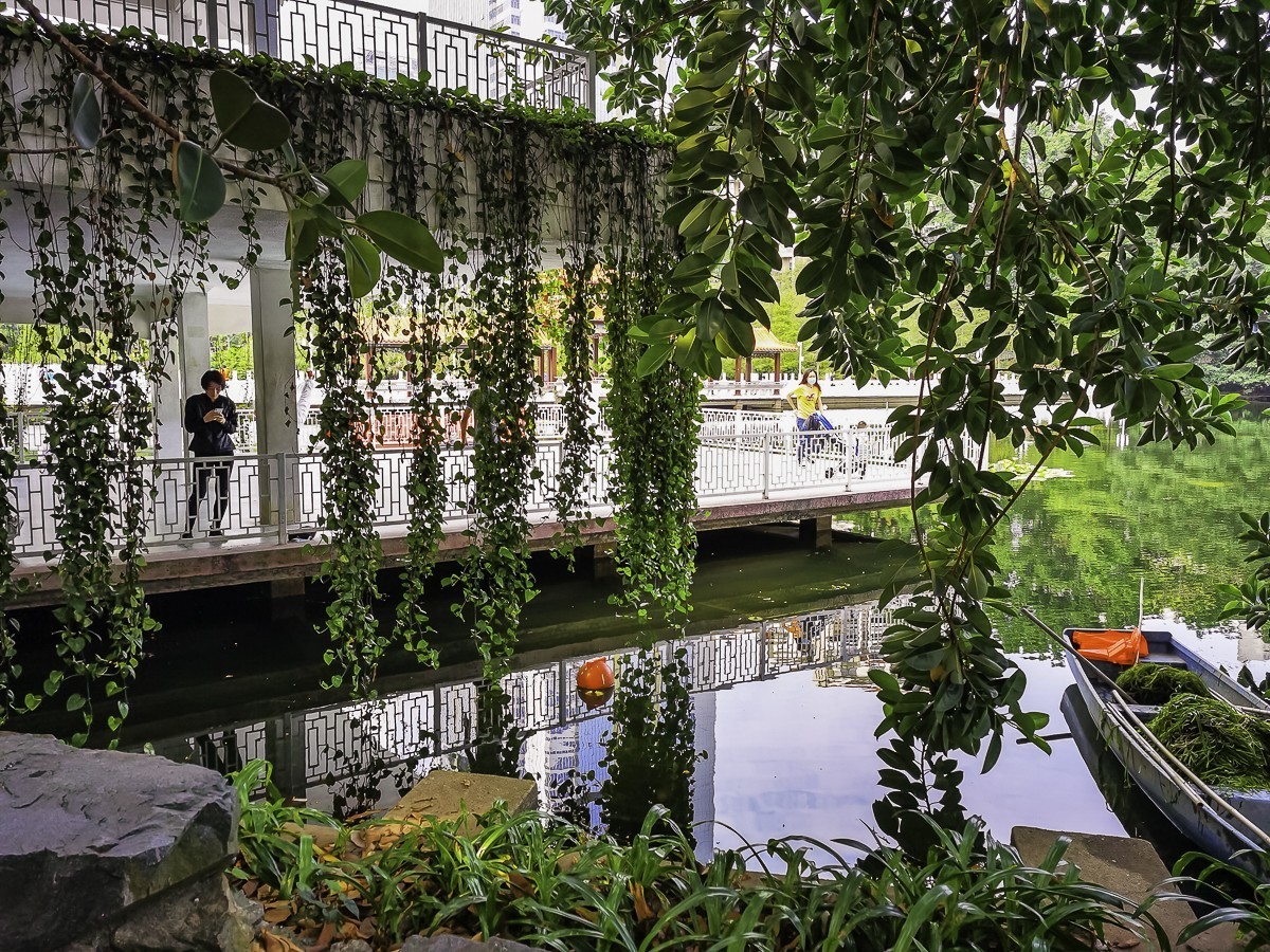 深圳荔枝公园 ~ 掠影