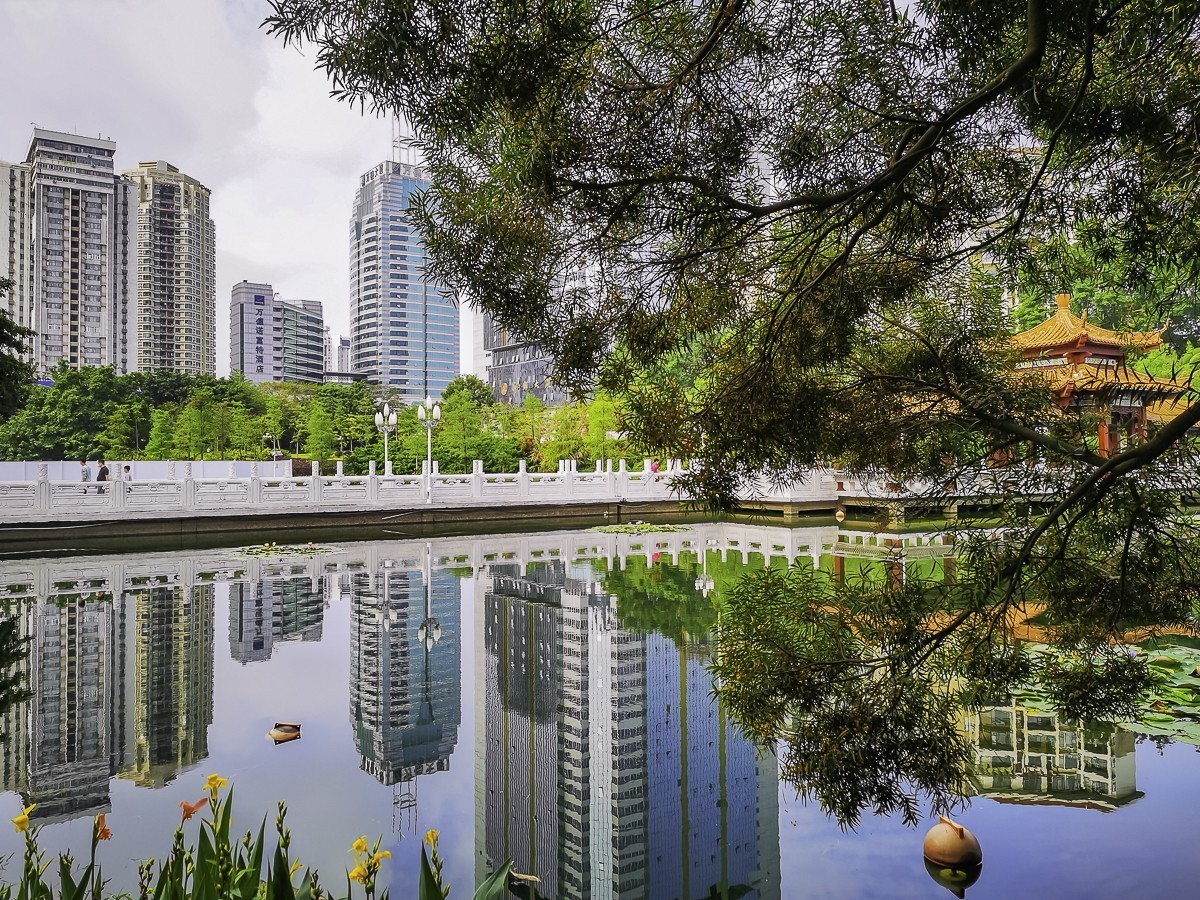 深圳荔枝公园 ~ 掠影