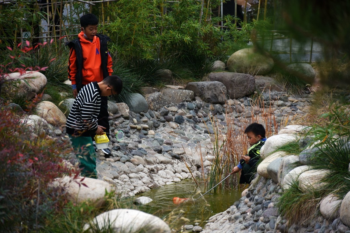 下班途中随手拍