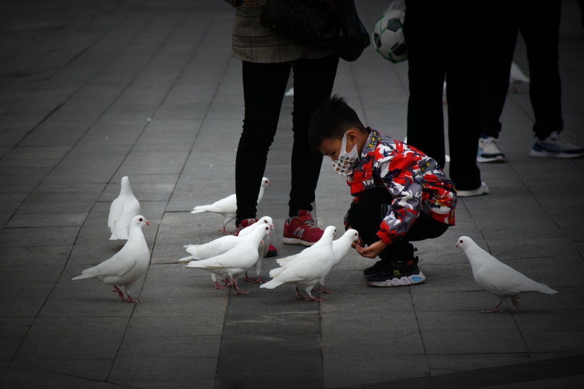 下班途中随手拍
