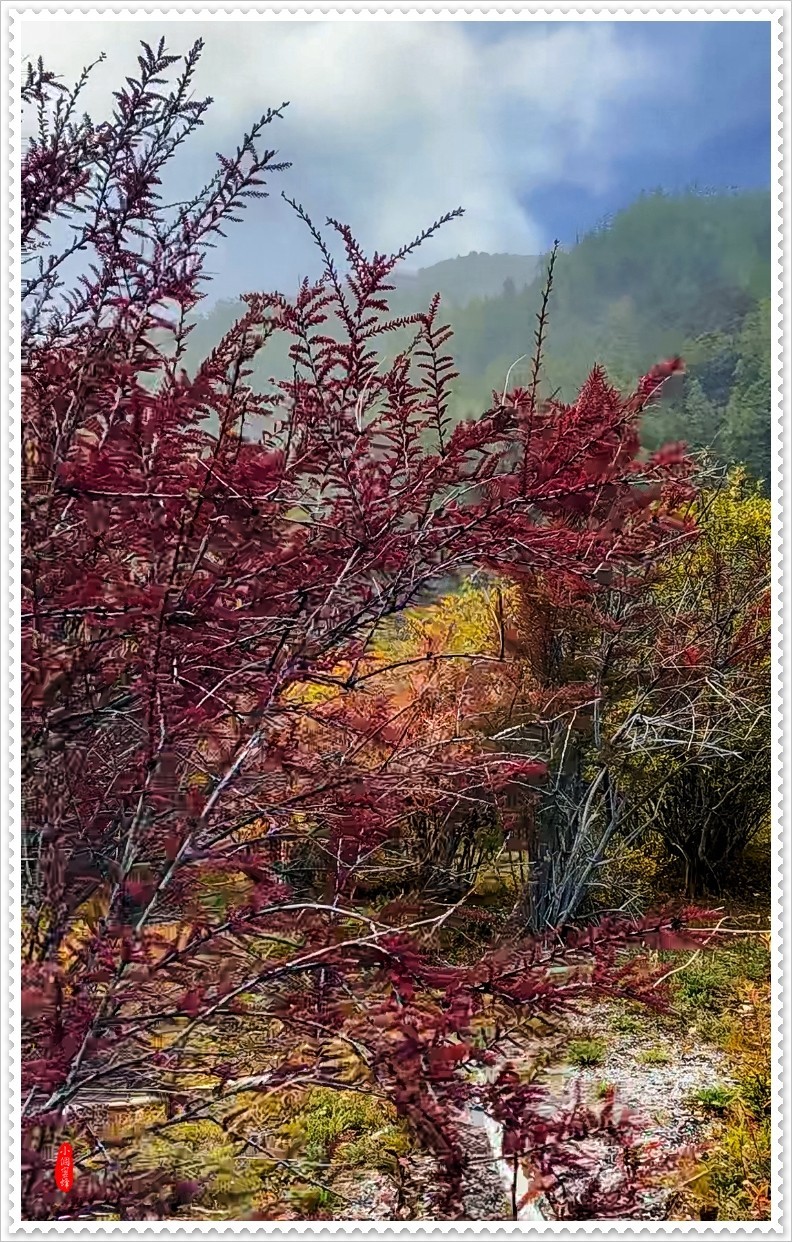 2022年稻城亚丁云拍-34